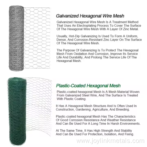 Lowest Price Chicken Wire Mesh Hexagonal Wire Mesh